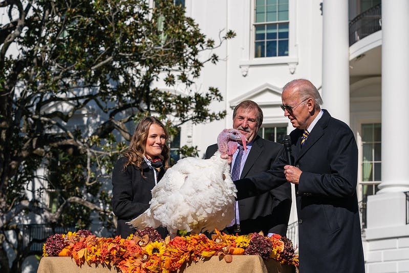 Joe Biden pardons a Turkey