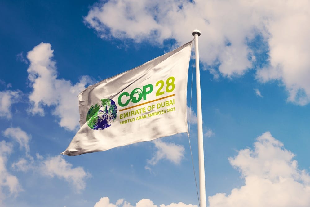 COP28 flag