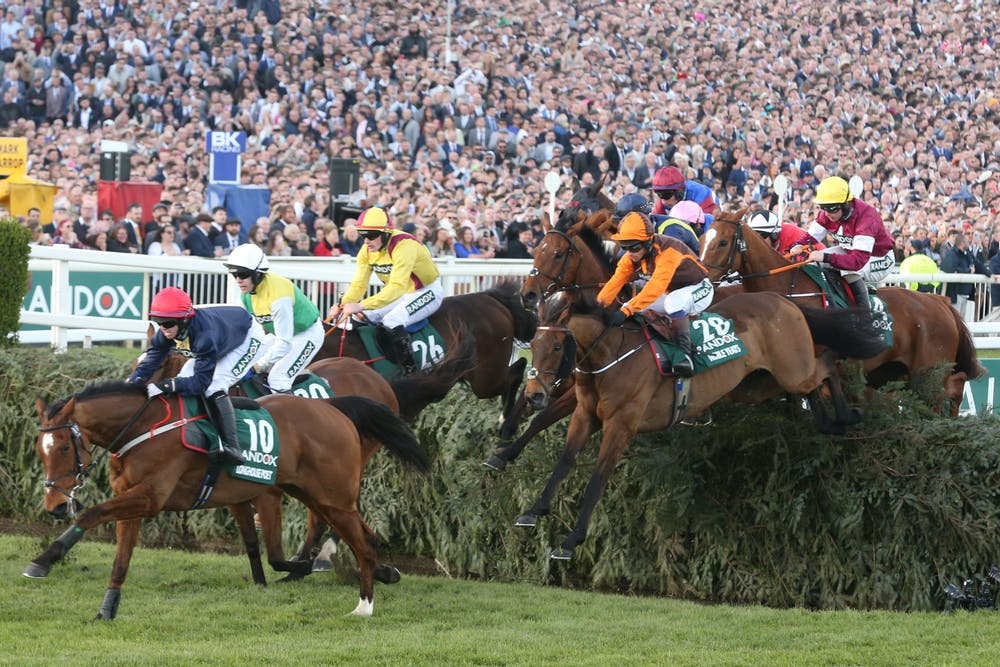 Horses and jockeys at the Grand National
